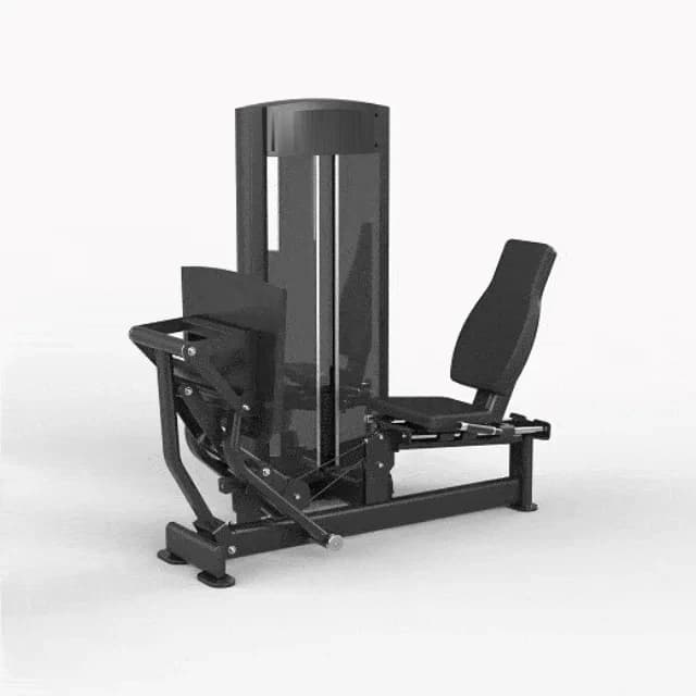 Leg Press / Panturrilha
