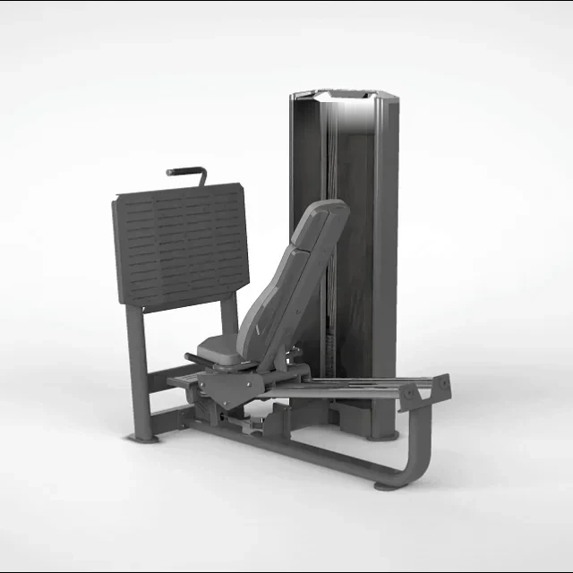 Leg press sentado