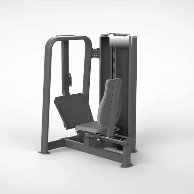 Leg press sentado