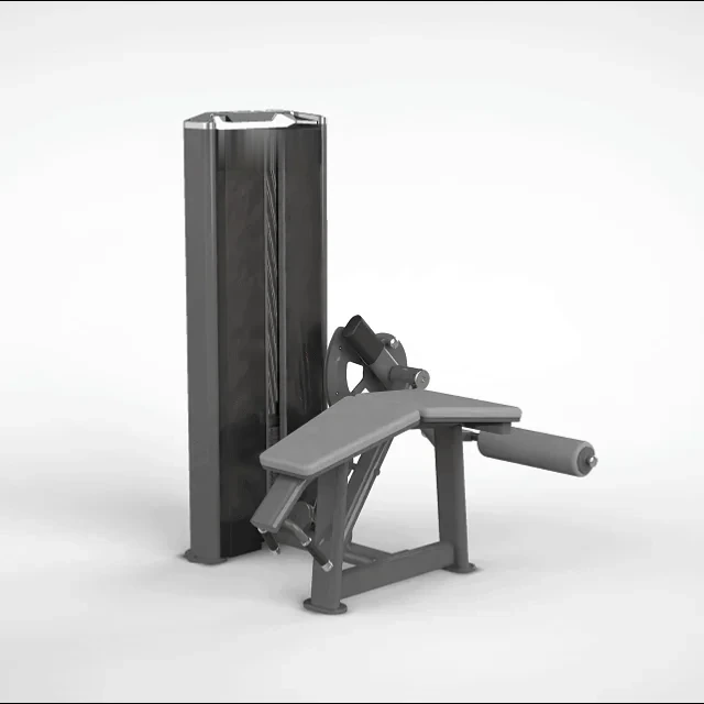 Mesa Flexora