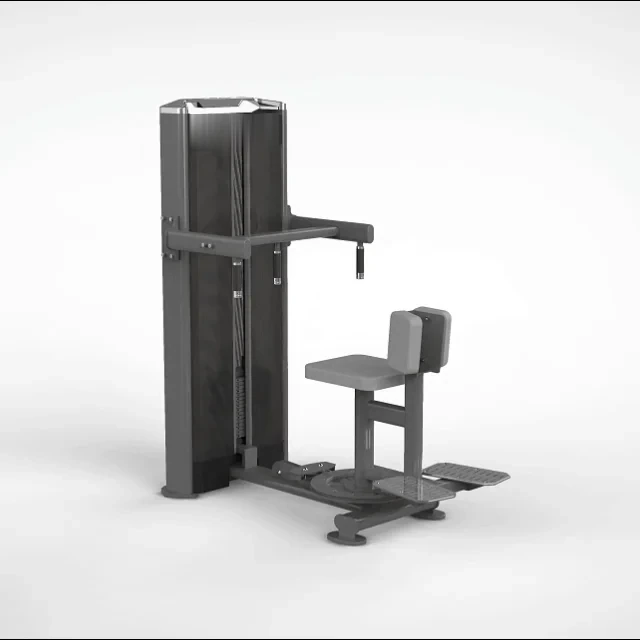 Torso Rotativo