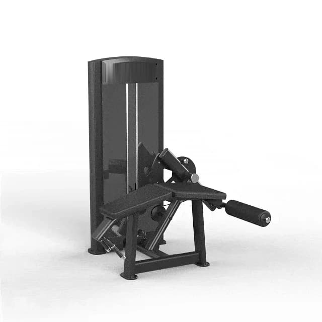 Mesa Flexora