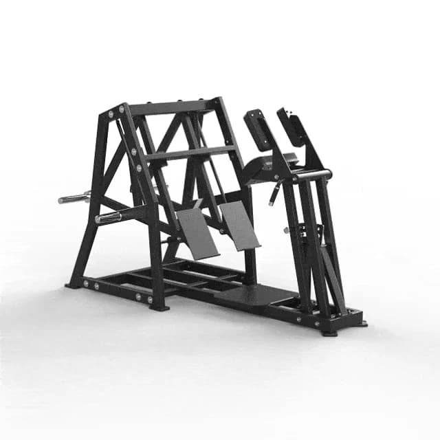 Mesa Flexora