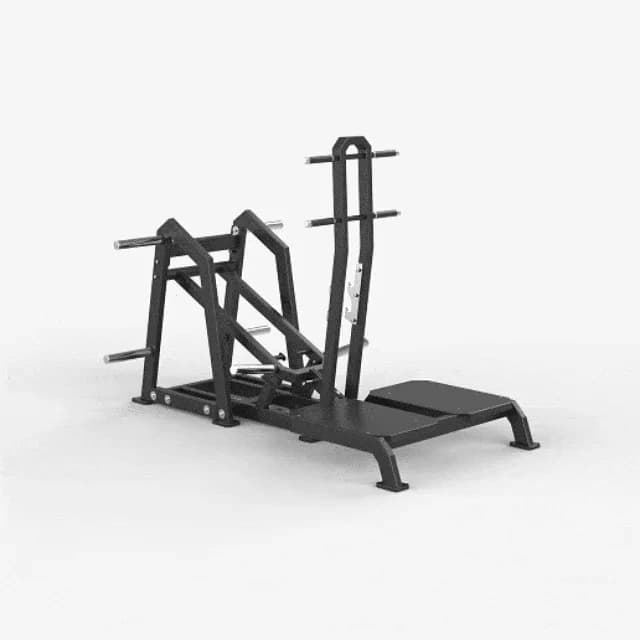 Agachamento Belt Squat