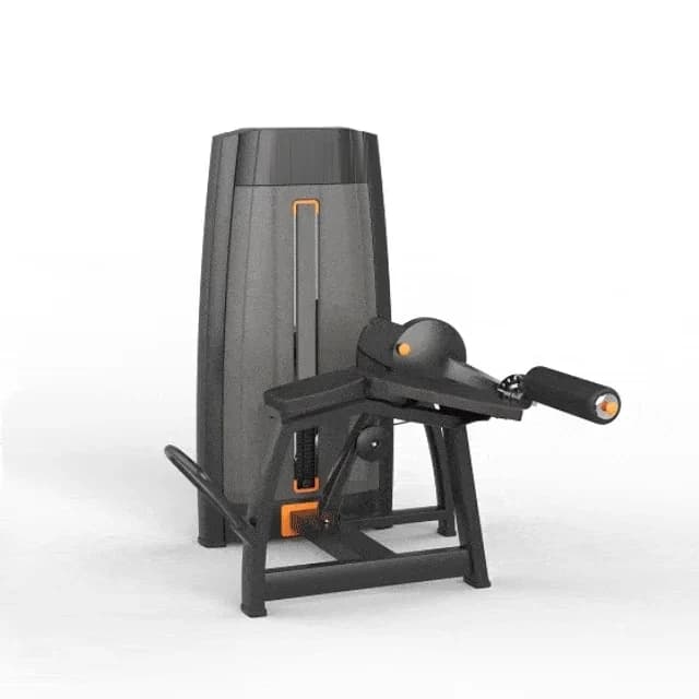 Mesa Flexora