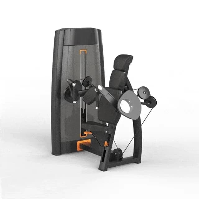 Extensão de tríceps