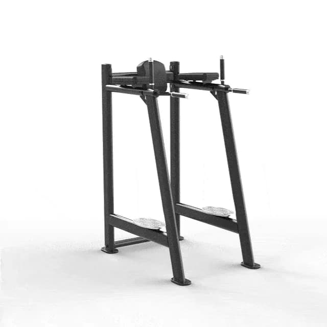 Torre Abdominal & Paralelas