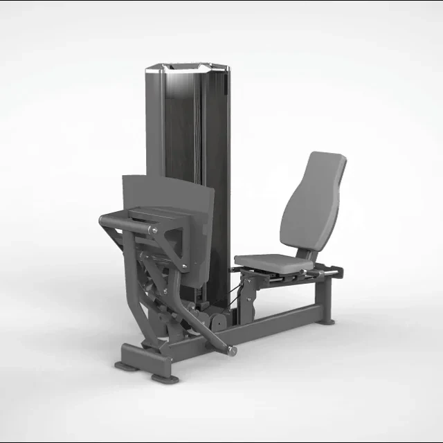 Leg press/Panturrilha Sentado