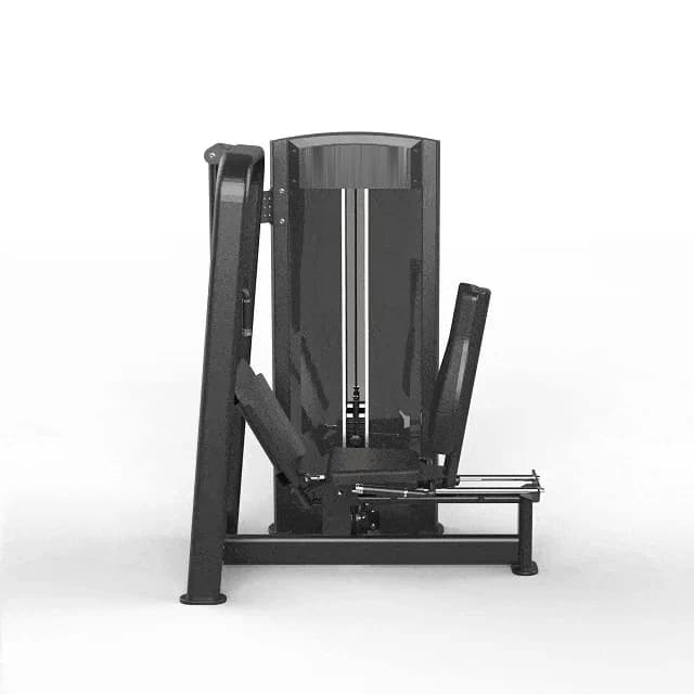 Leg press sentado