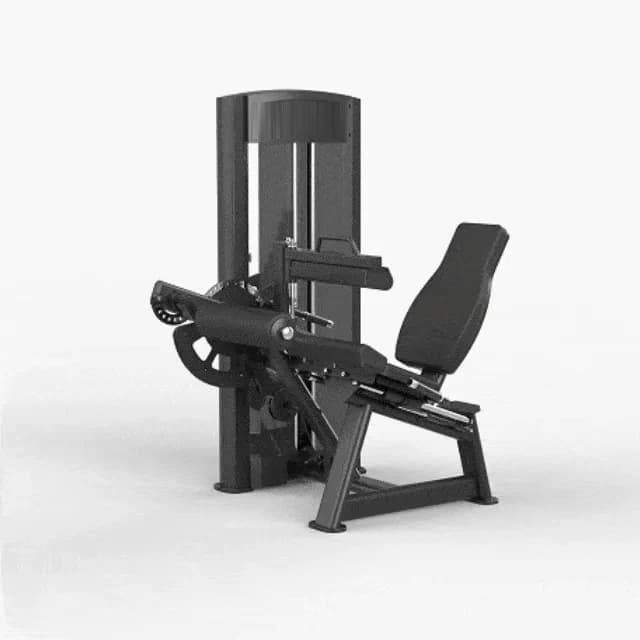 Cadeira Extensora / flexão de pernas